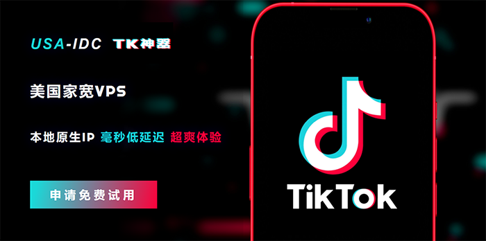 TikTok没有网络连接